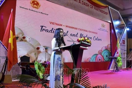 Semaine de la culture vietnamienne au Myanmar