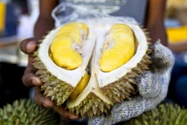 Le durian, produit à l’export potentiel de la Malaisie 