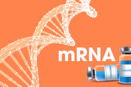 Faire du Vietnam un centre régional de production de vaccins