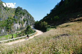 Lancement d’un programme de promotion du tourisme domestique