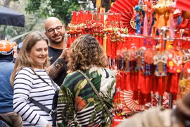  Le marché aux fleurs de Hang Luoc avant le Têt traditionnel
