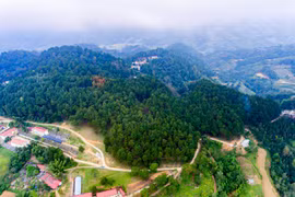 À la découverte de la forêt de pins Yen Minh, à Ha Giang
