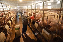 L’édification de régions indemnes d'épizooties est la clé de l'élevage et de la médecine vétérinaire