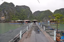 Quang Ninh : préserver les anciens villages de pêcheurs