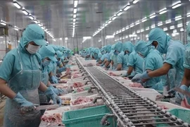 Soc Trang : la production industrielle et les exportations en forte hausse