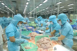 Les exportations de produits agricoles, sylvicoles et aquacoles dépasseront 47 milliards de dollars