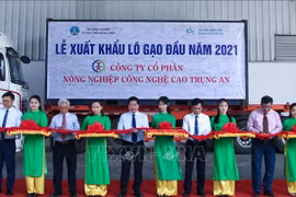 Le Vietnam exportera 1 600 tonnes de riz à prix élevés vers Singapour et la Malaisie