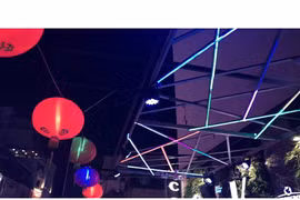 Des artistes vietnamien et français présenteront la danse contemporaine Bleu Neon