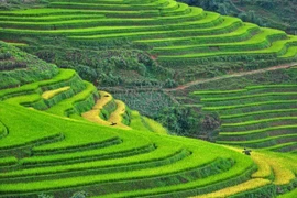 Sa Pa et Ninh Binh dans le top des destinations les plus attrayantes en Asie