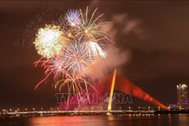 Le Vietnam propose d'annuler les feux d'artifice pour le Nouvel An lunaire 