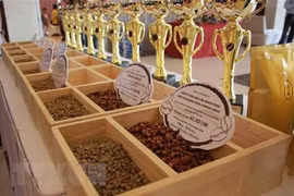 Vietnam – Chine: opportunités de coopération dans la production et la consommation de thé et café