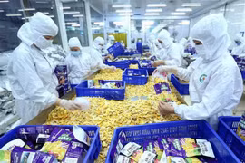 Vietnam-Chine: plus de 133 milliards de dollars d'échanges commerciaux