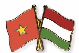 70 ans de relations avec Roumanie et Hongrie: le Vietnam échange des messages de félicitations 