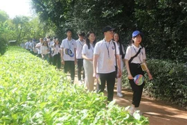 Chaque jeune Viet Kieu sera un "ambassadeur" pour promouvoir les relations avec des pays 