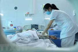 Hanoï détecte 19 foyers de dengue depuis le début de l'année