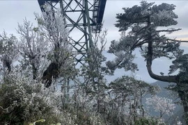 Une nouvelle vague de froid frappera les localités du Nord