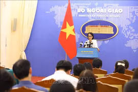 Aucune victime vietnamienne enregistrée au Maroc et en Libye suite aux catastrophes 