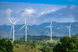 Promouvoir le crédit vert dans des projets de développement durable