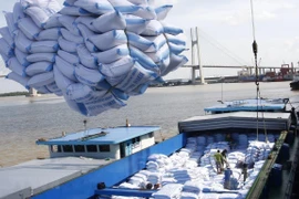 Le prix à l'exportation du riz vietnamien atteint un nouveau sommet