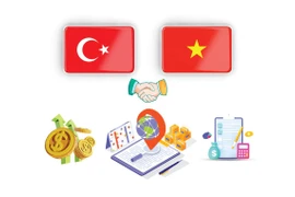 Promotion de la coopération Vietnam - Turquie