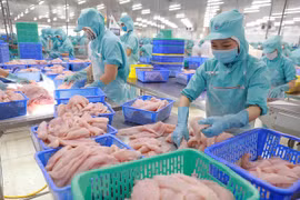 Les exportations de produits aquatiques en dix mois dépassent l'objectif annuel 