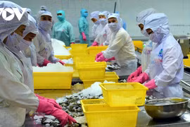 Le CPTPP, deuxième marché d'exportation de crevettes du Vietnam