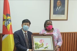 Le Mozambique félicite le Vietnam pour son double rôle en 2020