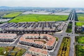 Investissement étranger : un économiste tchèque apprécie l’amélioration des conditions au Vietnam