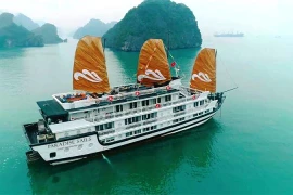Lancement des bateaux de croisière Paradise Sails sur la baie d'Ha Long