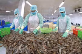 Les facteurs décisifs de la croissance vietnamienne 