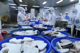 Un expert britannique apprécie l’intégration internationale et les opportunités du Vietnam