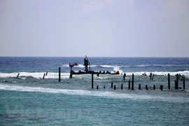 Grand potentiel de développement des énergies renouvelables au Vietnam