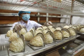 Belles perspectives pour les exportations de nids de salangane
