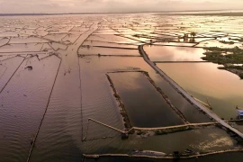La beauté de la lagune de Chuôn à Huê