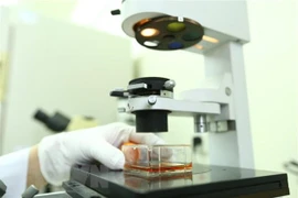 Le Vietnam et l’Allemagne coopèrent dans la lutte contre les futures pandémies