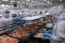 Signes positifs pour l’exportation des produits vietnamiens vers la Chine