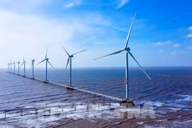 Accord international pour soutenir les objectifs climatiques et énergétiques du Vietnam