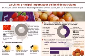 La Chine, principal importateur de litchi de Bac Giang