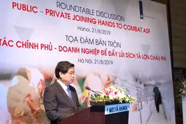 Les Pays-Bas partagent ses expériences dans la lutte contre la peste porcine africaine