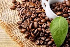 Opportunités élargies pour le café vietnamien aux États-Unis