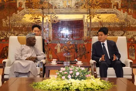 Hanoï partage ses expériences en matière de développement économique avec l'Afrique