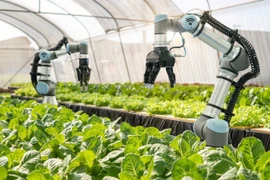La science et l’innovation contribueront à plus de 50% à la croissance agricole en 2030