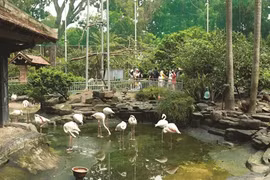 COVID-19 : Hô Chi Minh-Ville protège le zoo et le jardin botanique