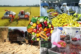 EVFTA, une opportunité pour les produits agricoles vietnamiens sur le marché européen