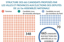 Élections législatives: Structure des 665 candidats proposés par les villes et provinces 