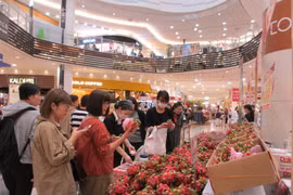 Des clients japonais apprécient des produits vietnamiens 