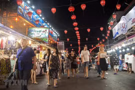 Le Vietnam accueille un nombre record de visiteurs étrangers en 2019