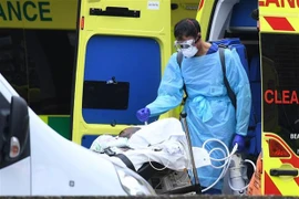 Les Vietnamiens au Royaume-Uni soutiennent le secteur de la santé britannique