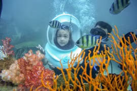 Lancement de nouveaux produits pour séduire les touristes pour les congés du 30 avril et du 1er mai