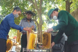 Un vétéran de guerre fait fortune grâce à l’apiculture
